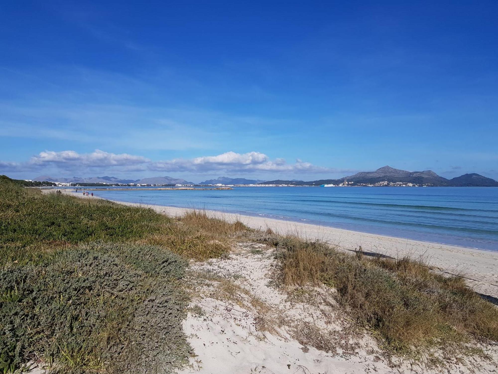 Ideal Property Mallorca - Villa Xisco アルクディア エクステリア 写真